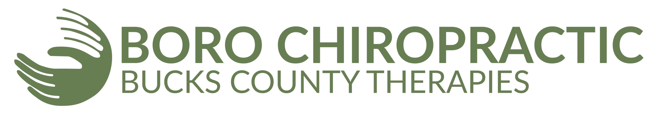 boro-chiro-logo-horizontal-green